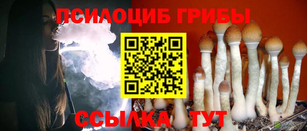 Галлюциногенные грибы мухоморы  Вход с VPN  Апатиты  где купить наркотик  Псилоцибиновые грибы мухоморы 